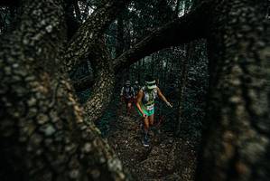 BIB: 
                            <button type="button" onclick="openModal(25689434)" class="btn btn-primary btn-sm float-right btn-popup" data-toggle="modal" data-target=".modal-high-quality">
                        <i class="fas fa-shopping-cart"></i> Add to Cart
                    </button>
                                            <button type="button" onclick="isThisMe(25689434, true)" class="btn btn-success btn-sm float-right btn-popup btn-isme hidden" data-toggle="tooltip" data-placement="bottom" title="นี่คือรูปของคุณใช่ไหม คลิกที่นี่เพื่อเอาเข้าอัลบั้ม">
                        <i class="fas fa-plus"></i> Add to album
                    </button>
                    <button type="button" onclick="isThisMe(25689434, false)" class="btn btn-warning btn-sm float-right btn-popup btn-isnotme hidden">
                        <i class="fas fa-ban"></i> Remove from album
                    </button>